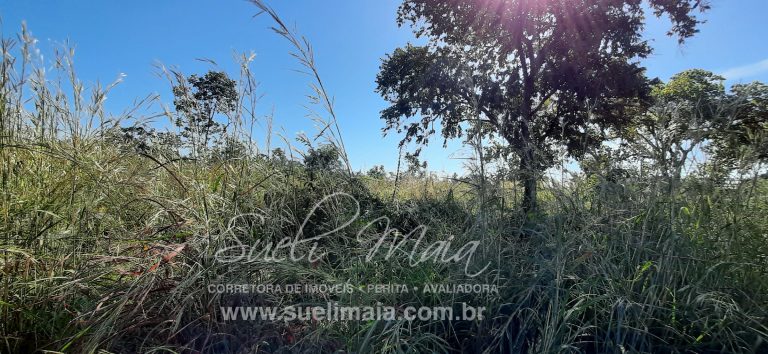 Lote no Jardim dos Ipês – Anexo à Praia do Sol – Minaçu/GO