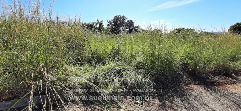 Lote no Jardim dos Ipês – Anexo à Praia do Sol – Minaçu/GO