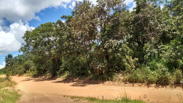 Área urbana ideal p/ loteamento de frente para o lago de Minaçu/GO