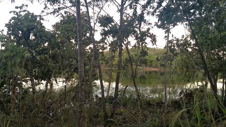 Fazenda 39 alq (192 ha) na beira do Lago de Minaçu/GO 4 aptidões