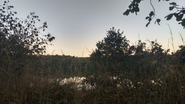 Fazenda 39 alq (192 ha) na beira do Lago de Minaçu/GO 4 aptidões