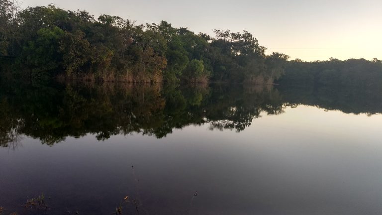 Fazenda 39 alq (192 ha) na beira do Lago de Minaçu/GO 4 aptidões