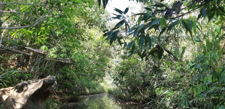 Fazenda de 617 alq. (2.985,27 ha) a 80 Km de Minaçu/GO Fazenda de 617 alq. (2.985,27 ha) a 80 Km de Minaçu/GO