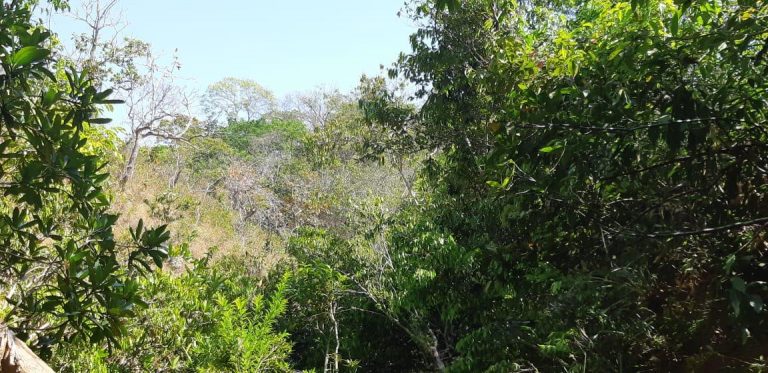 Fazenda de 617 alq. (2.985,27 ha) a 80 Km de Minaçu/GO Fazenda de 617 alq. (2.985,27 ha) a 80 Km de Minaçu/GO