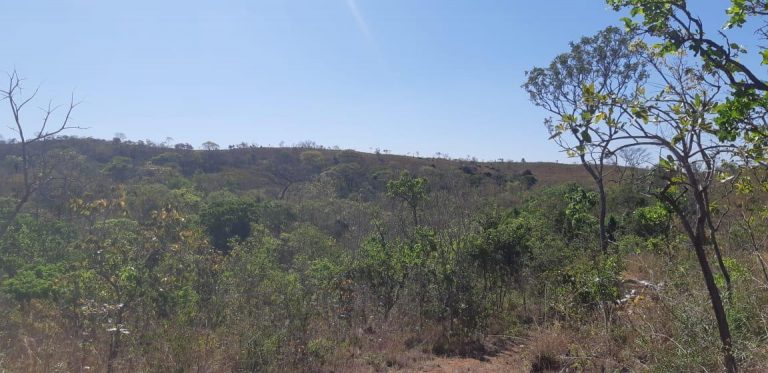 Fazenda de 617 alq. (2.985,27 ha) a 80 Km de Minaçu/GO Fazenda de 617 alq. (2.985,27 ha) a 80 Km de Minaçu/GO