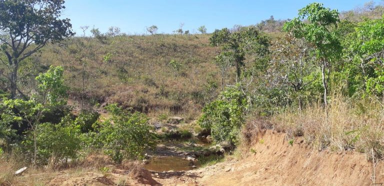 Fazenda de 617 alq. (2.985,27 ha) a 80 Km de Minaçu/GO Fazenda de 617 alq. (2.985,27 ha) a 80 Km de Minaçu/GO