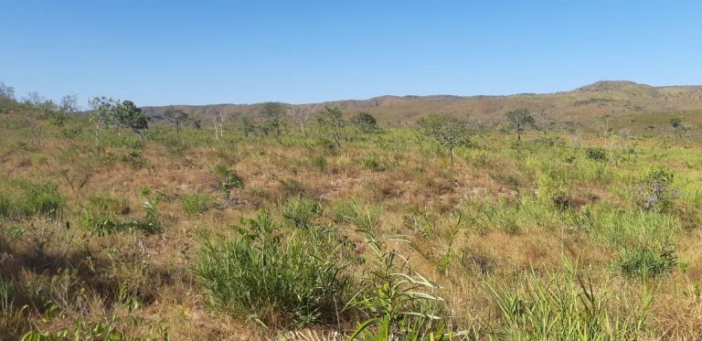 Fazenda de 617 alq. (2.985,27 ha) a 80 Km de Minaçu/GO Fazenda de 617 alq. (2.985,27 ha) a 80 Km de Minaçu/GO
