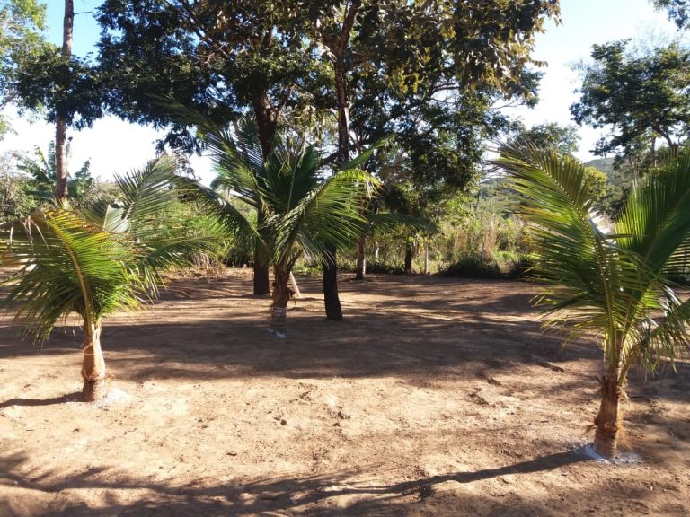 Fazenda de 617 alq. (2.985,27 ha) a 80 Km de Minaçu/GO Fazenda de 617 alq. (2.985,27 ha) a 80 Km de Minaçu/GO