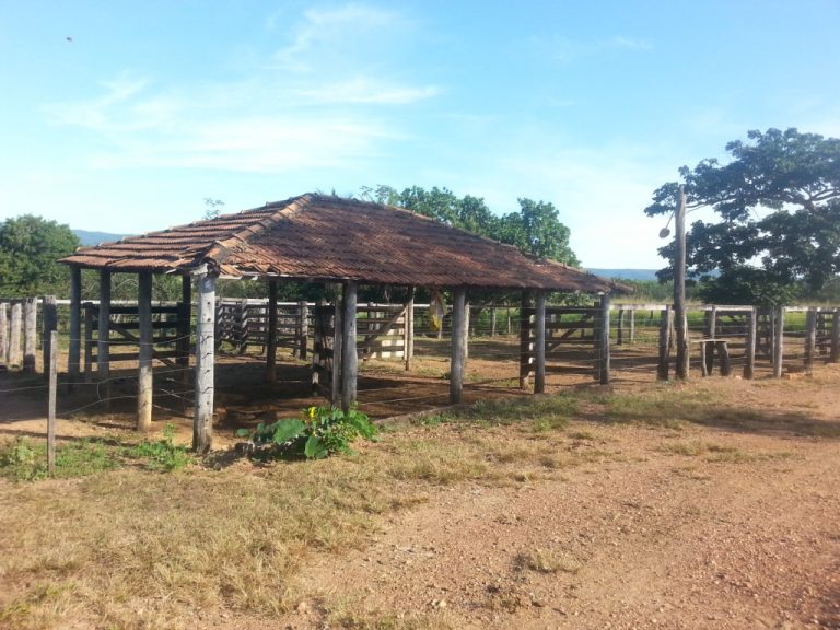 Fazenda 39 alq (192 ha) na beira do Lago de Minaçu/GO 4 aptidões