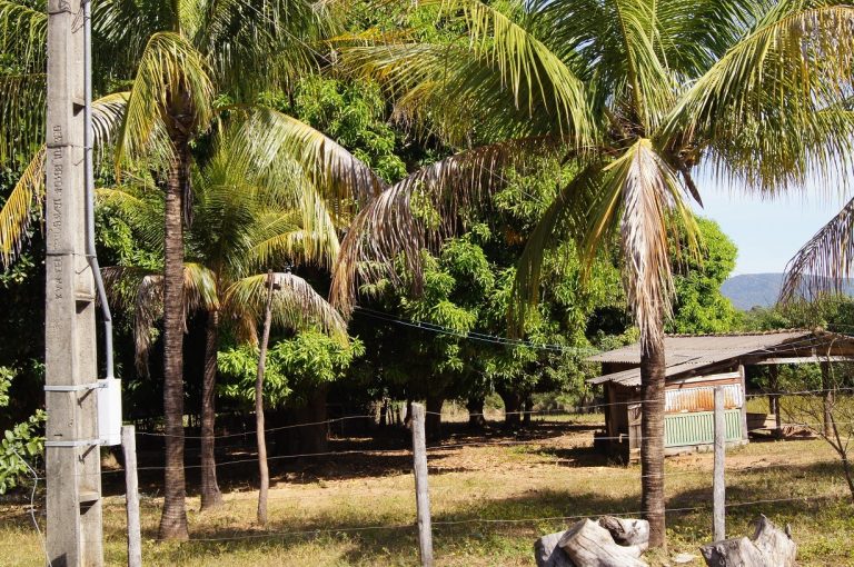 Fazenda 39 alq (192 ha) na beira do Lago de Minaçu/GO 4 aptidões