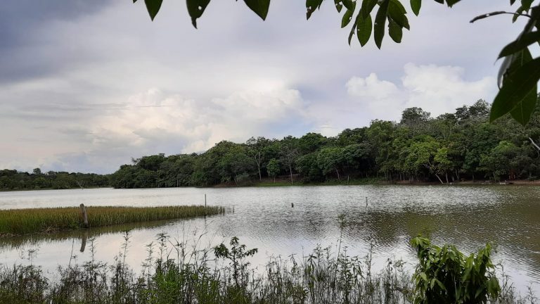 Fazenda 39 alq (192 ha) na beira do Lago de Minaçu/GO 4 aptidões