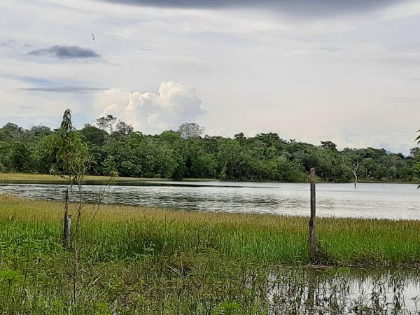 Fazenda 39 alq (192 ha) na beira do Lago de Minaçu/GO 4 aptidões