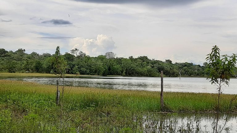 Fazenda 39 alq (192 ha) na beira do Lago de Minaçu/GO 4 aptidões