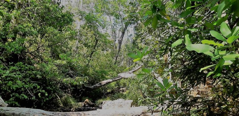 Fazenda de 617 alq. (2.985,27 ha) a 80 Km de Minaçu/GO Fazenda de 617 alq. (2.985,27 ha) a 80 Km de Minaçu/GO