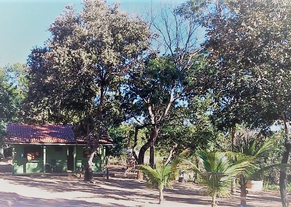 Fazenda de 617 alq. (2.985,27 ha) a 80 Km de Minaçu/GO