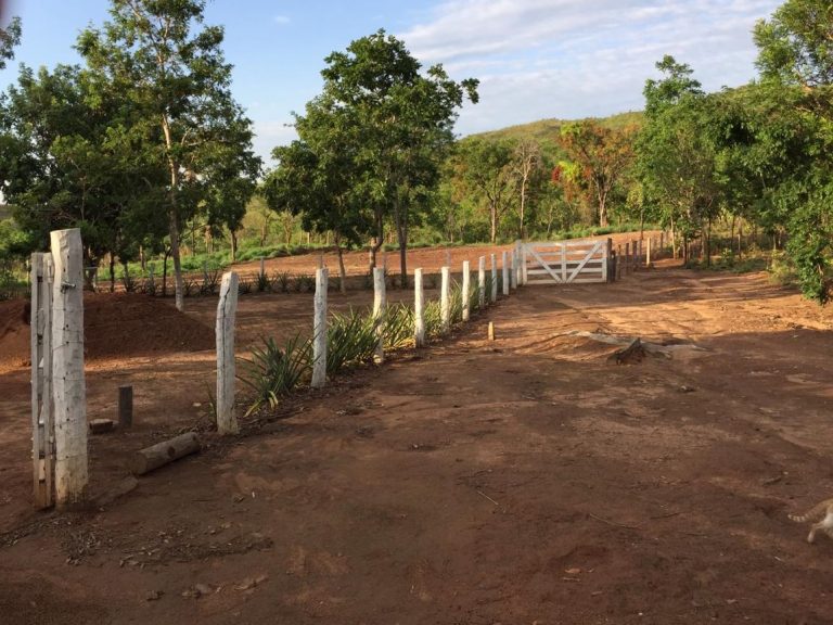 Fazenda de 617 alq. (2.985,27 ha) a 80 Km de Minaçu/GO Fazenda de 617 alq. (2.985,27 ha) a 80 Km de Minaçu/GO