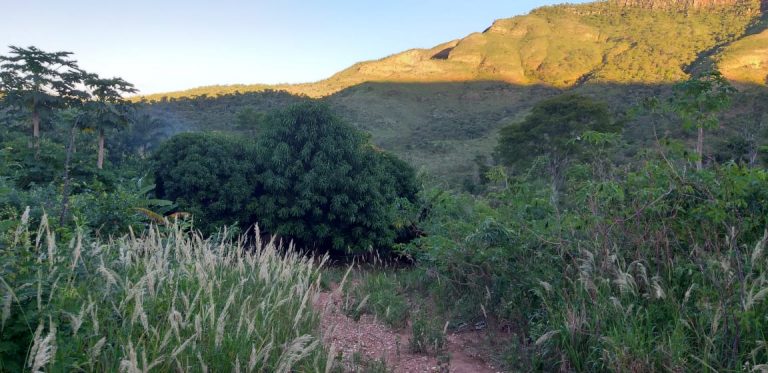 Fazenda de 405 alq. em Paranã/TO – na Divisa c/ Goiás Fazenda de 405 alq. em Paranã/TO – na Divisa c/ Goiás