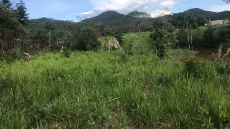 Fazenda 217 ha (45 alq) em Cavalcante divisa c/ Minaçu/GO