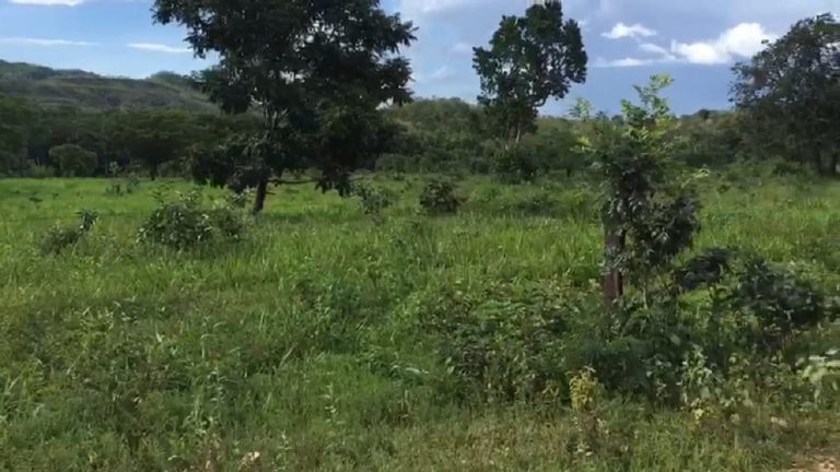 Fazenda 217 ha (45 alq) em Cavalcante divisa c/ Minaçu/GO