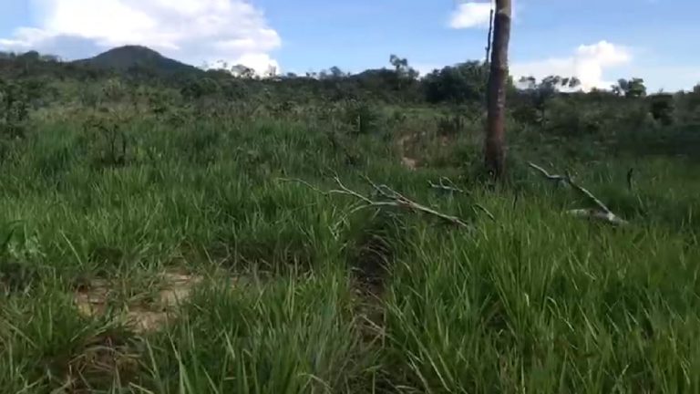 Fazenda 217 ha (45 alq) em Cavalcante divisa c/ Minaçu/GO