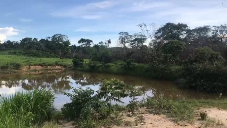 Fazenda 217 ha (45 alq) em Cavalcante divisa c/ Minaçu/GO