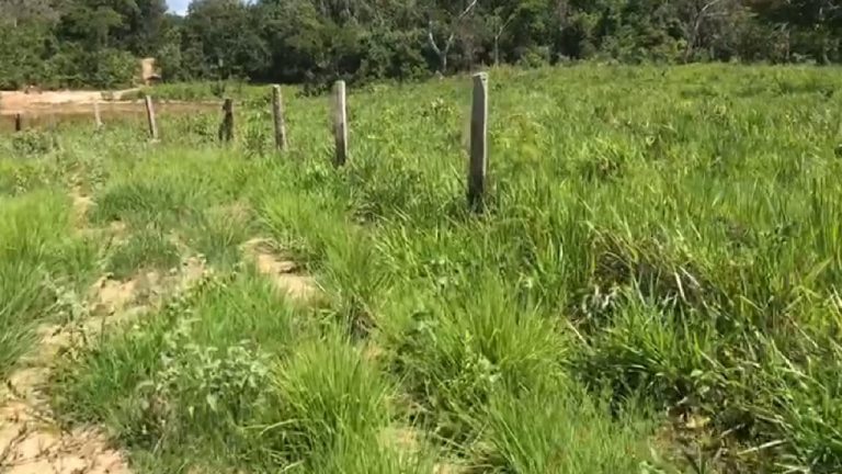 Fazenda 217 ha (45 alq) em Cavalcante divisa c/ Minaçu/GO