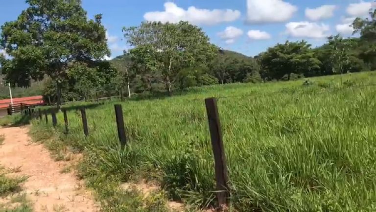Fazenda 217 ha (45 alq) em Cavalcante divisa c/ Minaçu/GO