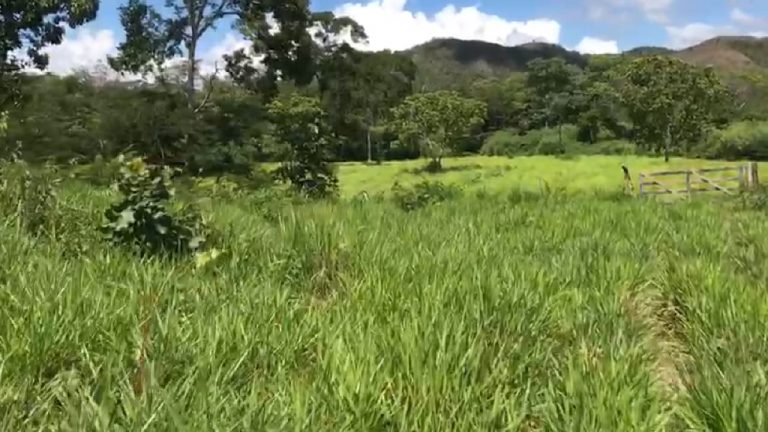 Fazenda 217 ha (45 alq) em Cavalcante divisa c/ Minaçu/GO