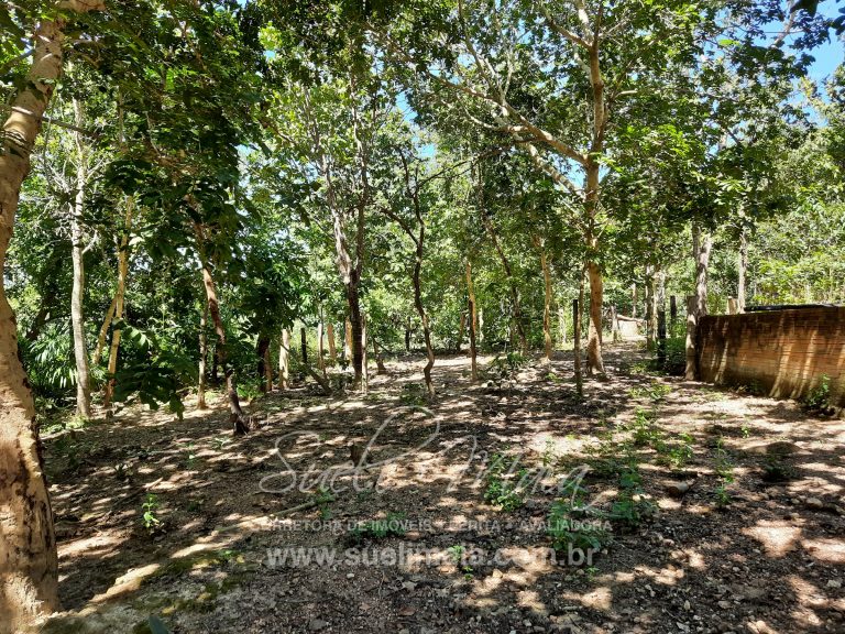 Fazenda 198 ha ou 41 alq Cavalcante/GO divisa c/ Minaçu Fazenda 198 ha ou 41 alq Cavalcante/GO divisa c/ Minaçu