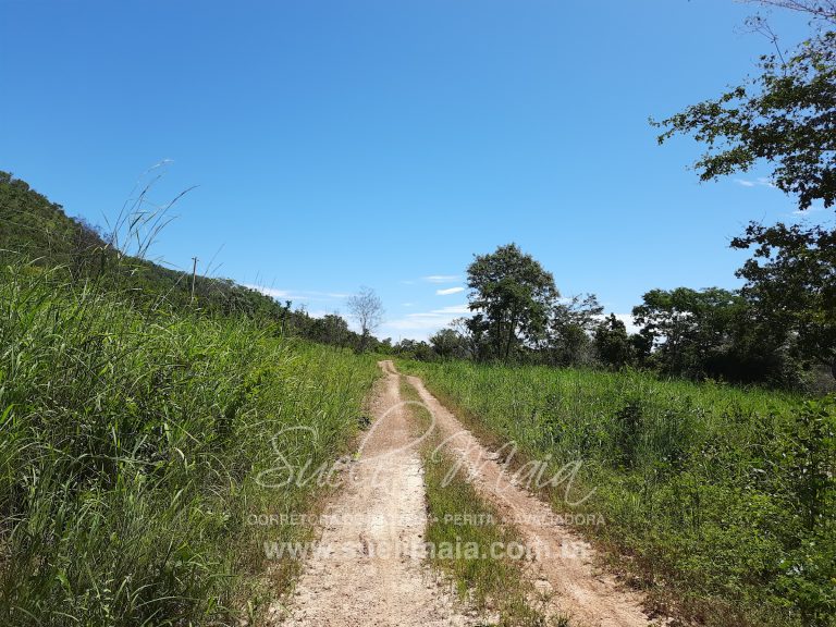 Fazenda 198 ha ou 41 alq Cavalcante/GO divisa c/ Minaçu Fazenda 198 ha ou 41 alq Cavalcante/GO divisa c/ Minaçu
