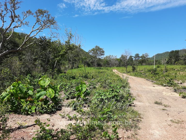 Fazenda 198 ha ou 41 alq Cavalcante/GO divisa c/ Minaçu Fazenda 198 ha ou 41 alq Cavalcante/GO divisa c/ Minaçu