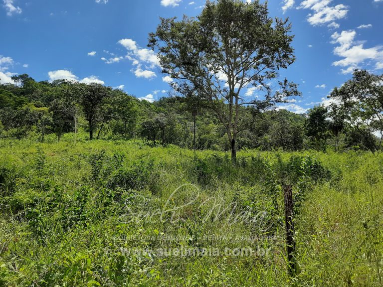 Fazenda 198 ha ou 41 alq Cavalcante/GO divisa c/ Minaçu Fazenda 198 ha ou 41 alq Cavalcante/GO divisa c/ Minaçu