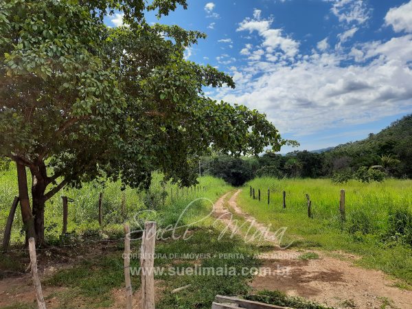 Fazenda 198 ha ou 41 alq Cavalcante/GO divisa c/ Minaçu