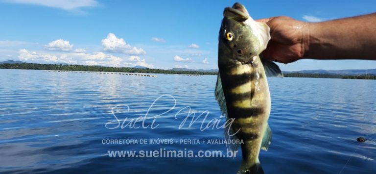 Um pedaço de paraíso à beira do Lago – Minaçu/GO