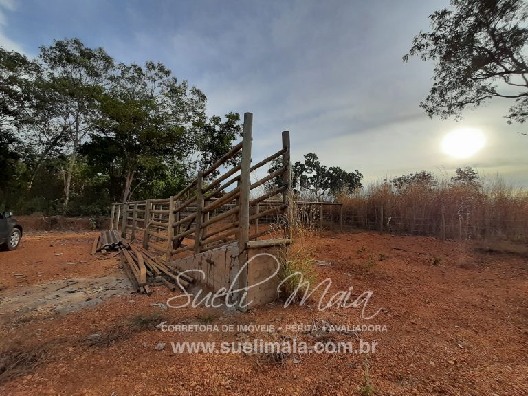 CHÁCARA DE 5,54 HA – NA BEIRA DO LAGO – MINAÇU/GO CHÁCARA DE 5,54 HA – NA BEIRA DO LAGO – MINAÇU/GO