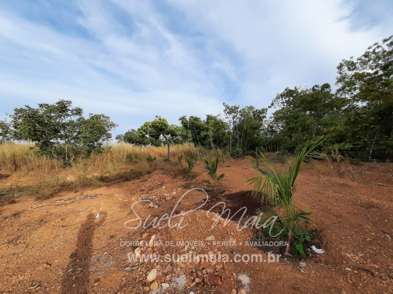 CHÁCARA DE 5,54 HA – NA BEIRA DO LAGO – MINAÇU/GO CHÁCARA DE 5,54 HA – NA BEIRA DO LAGO – MINAÇU/GO
