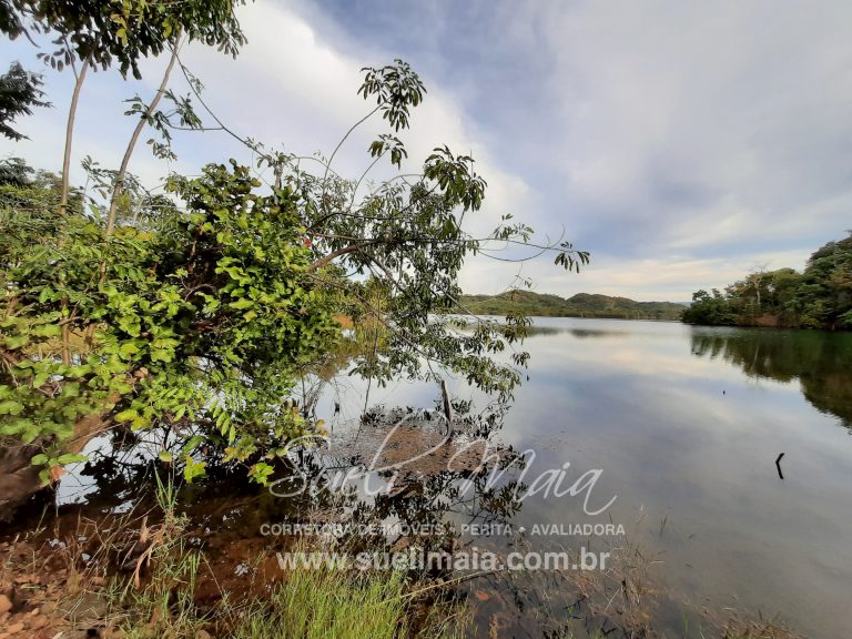 CHÁCARA DE 5,54 HA – NA BEIRA DO LAGO – MINAÇU/GO CHÁCARA DE 5,54 HA – NA BEIRA DO LAGO – MINAÇU/GO