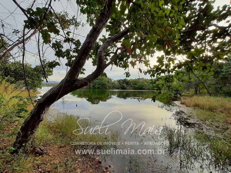 CHÁCARA DE 5,54 HA – NA BEIRA DO LAGO – MINAÇU/GO CHÁCARA DE 5,54 HA – NA BEIRA DO LAGO – MINAÇU/GO