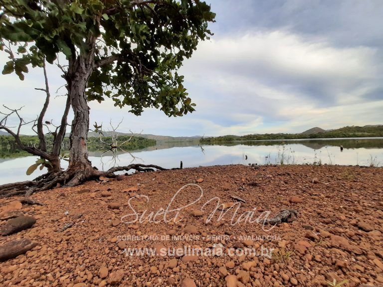 CHÁCARA DE 5,54 HA – NA BEIRA DO LAGO – MINAÇU/GO CHÁCARA DE 5,54 HA – NA BEIRA DO LAGO – MINAÇU/GO