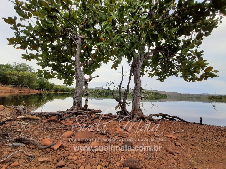 CHÁCARA DE 5,54 HA – NA BEIRA DO LAGO – MINAÇU/GO CHÁCARA DE 5,54 HA – NA BEIRA DO LAGO – MINAÇU/GO