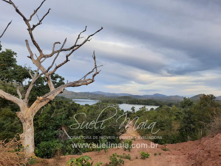 CHÁCARA DE 5,54 HA – NA BEIRA DO LAGO – MINAÇU/GO CHÁCARA DE 5,54 HA – NA BEIRA DO LAGO – MINAÇU/GO