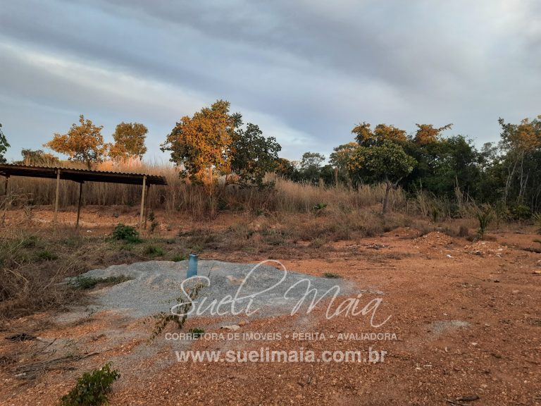 CHÁCARA DE 5,54 HA – NA BEIRA DO LAGO – MINAÇU/GO CHÁCARA DE 5,54 HA – NA BEIRA DO LAGO – MINAÇU/GO