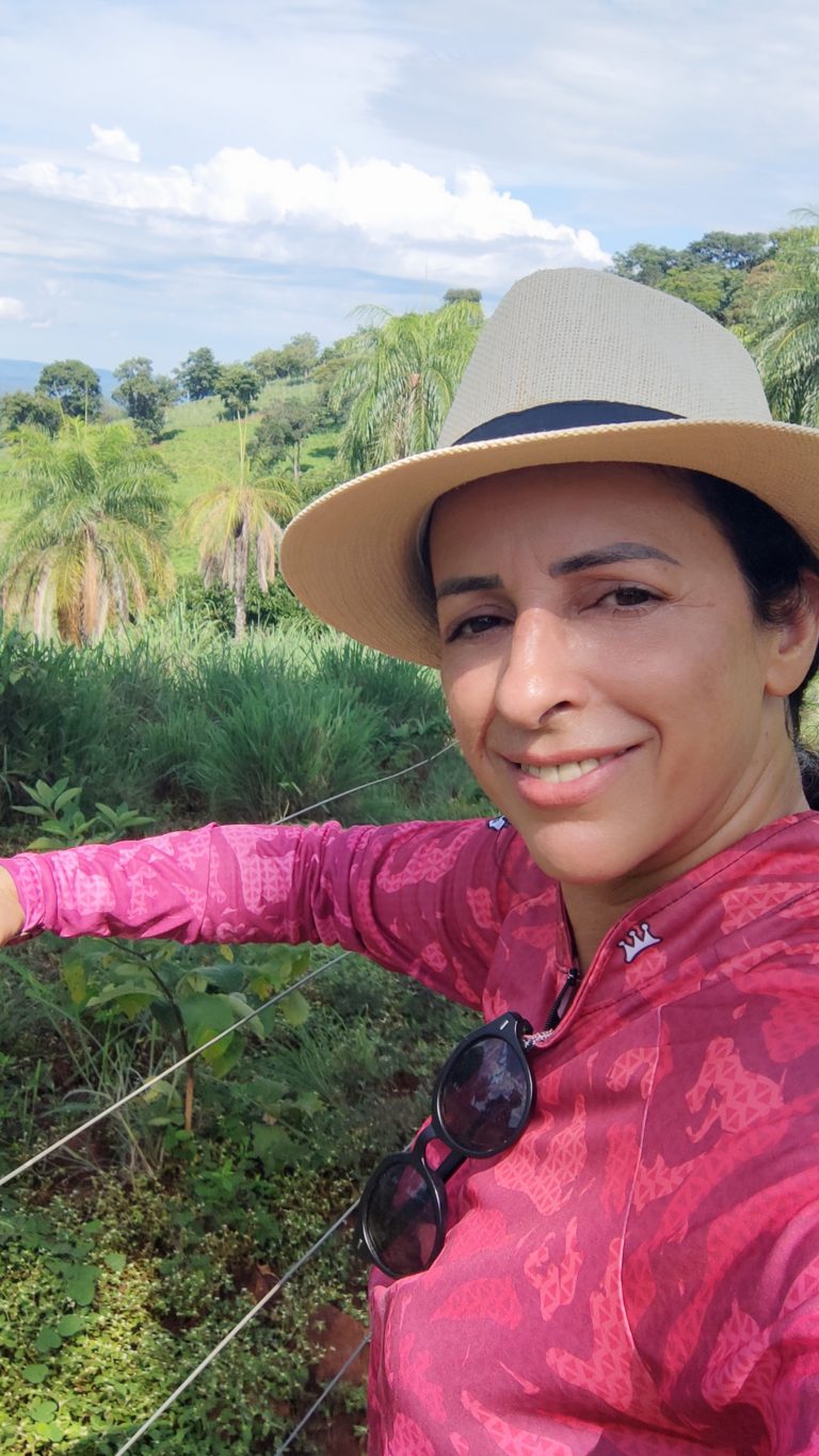 FAZENDA  23 ALQ – 100% TERRA DE CULTURA – MINAÇU/GO