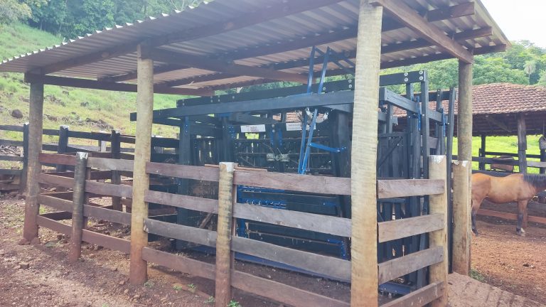 FAZENDA  23 ALQ – 100% TERRA DE CULTURA – MINAÇU/GO