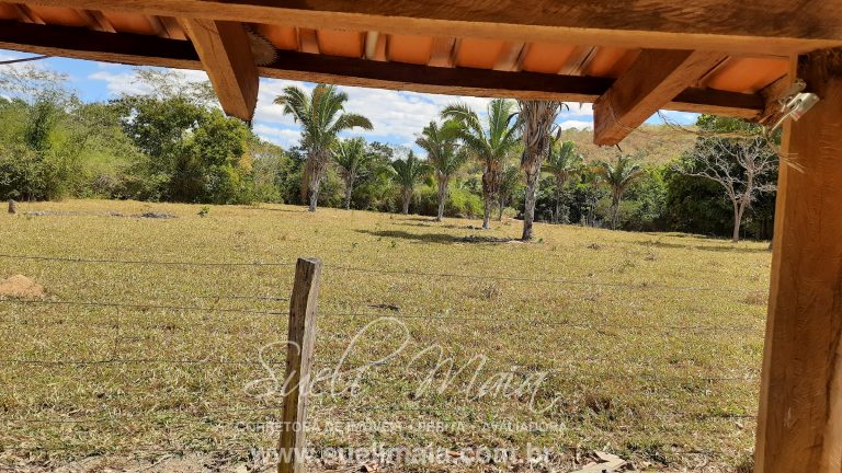 Fazenda 116 alq. tripla aptidão a 42km de Minaçu/GO