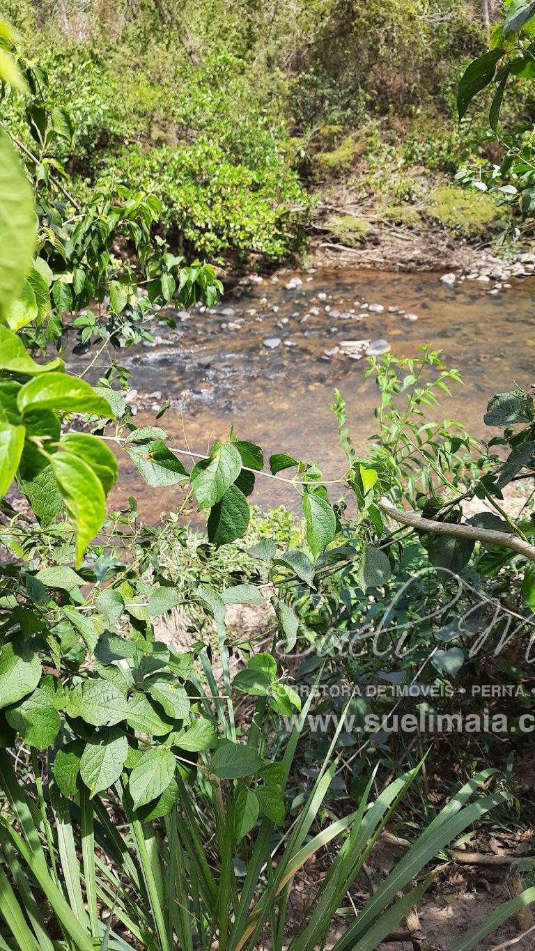 Fazenda 116 alq. tripla aptidão a 42km de Minaçu/GO