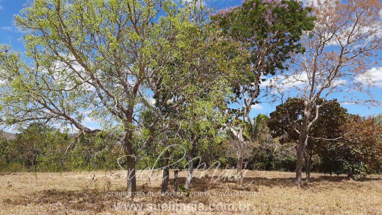Fazenda 116 alq. tripla aptidão a 42km de Minaçu/GO