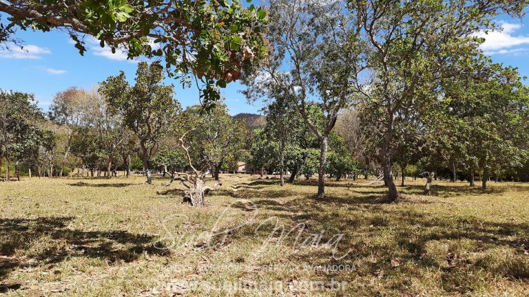 Fazenda 116 alq. tripla aptidão a 42km de Minaçu/GO