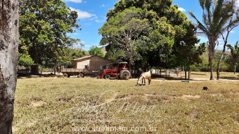 Fazenda 116 alq. tripla aptidão a 42km de Minaçu/GO