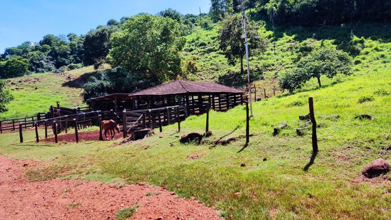 FAZENDA  23 ALQ – 100% TERRA DE CULTURA – MINAÇU/GO